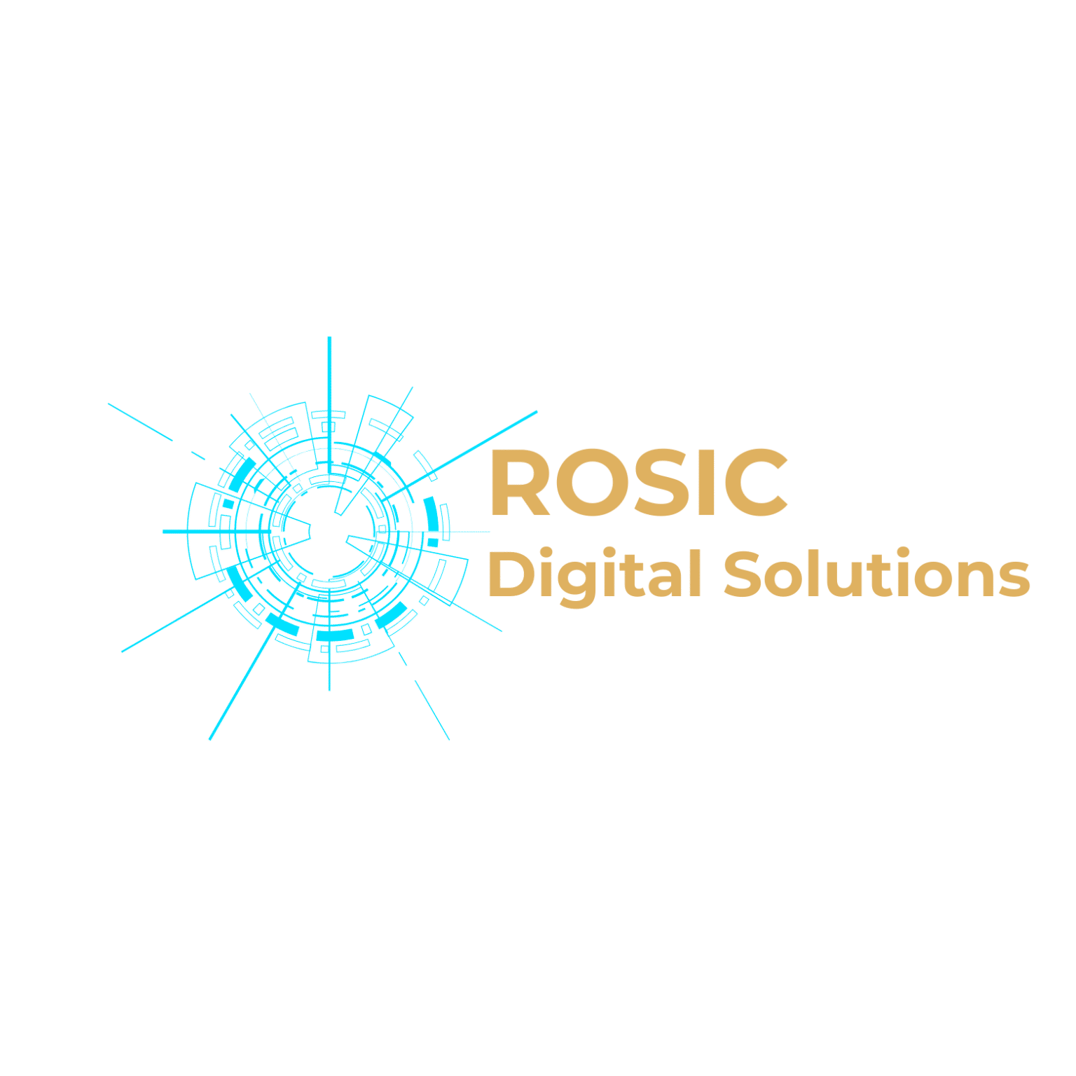 Rosic Digital Solutions