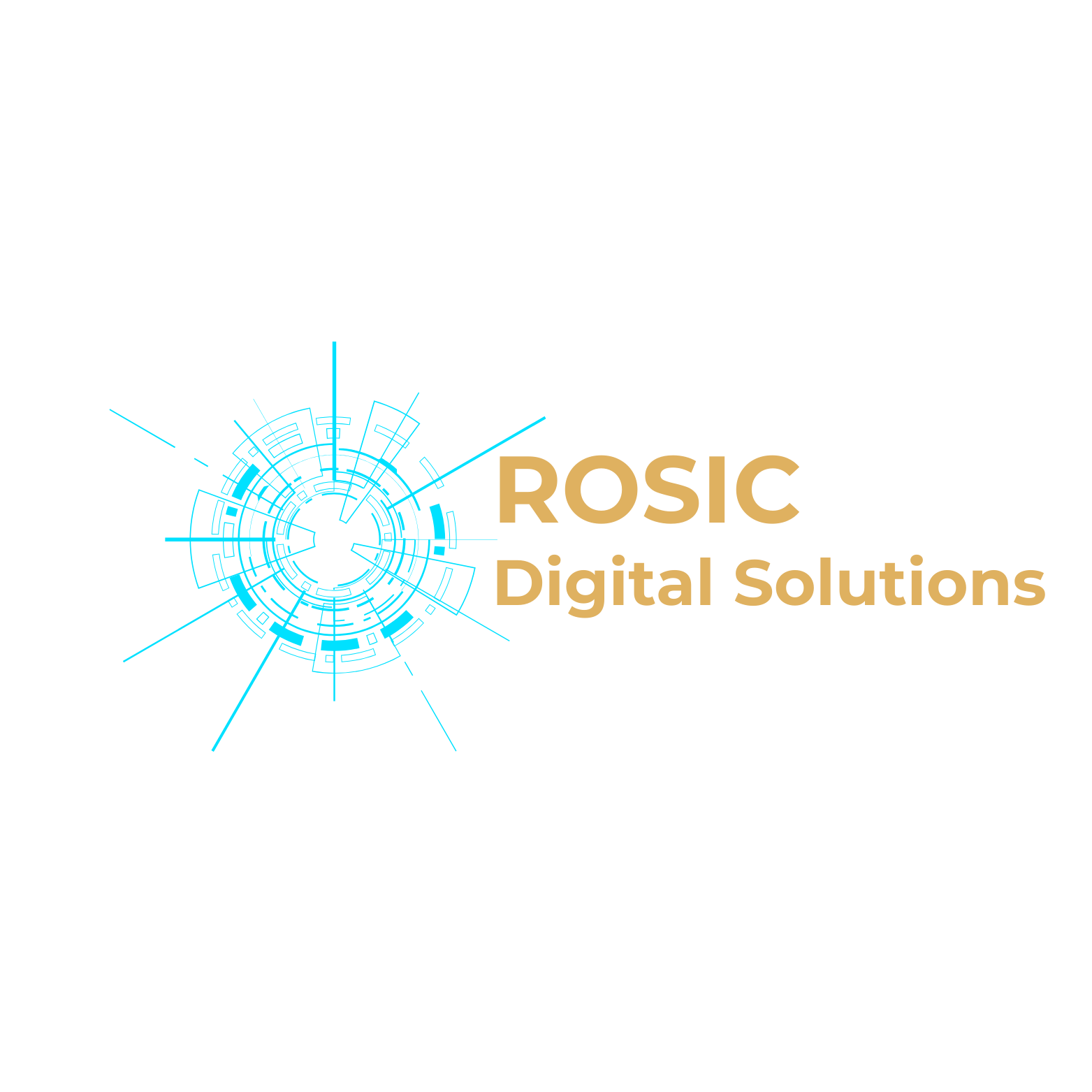 Rosic Digital Solutions